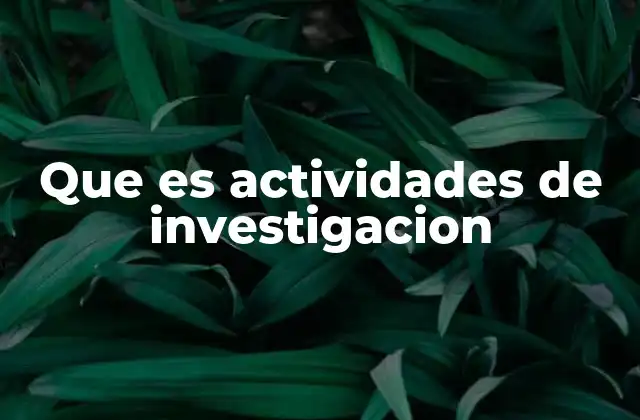 Que es Actividades de Investigacion