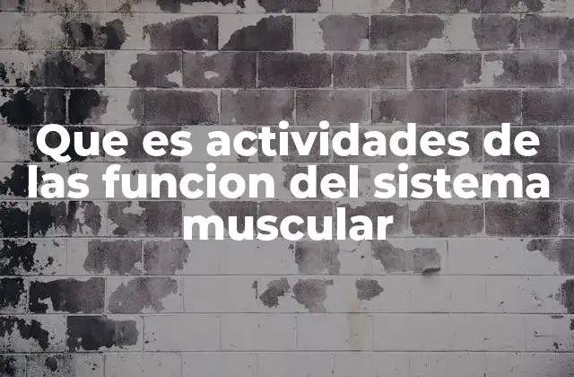 Que es Actividades de las Funcion Del Sistema Muscular