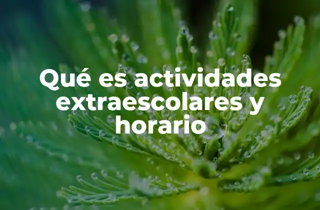 Qué es Actividades Extraescolares y Horario