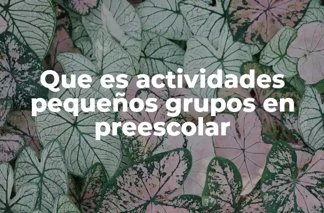 Que es Actividades Pequeños Grupos en Preescolar