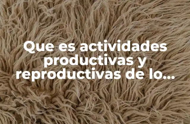 Que es Actividades Productivas y Reproductivas de Lo Cotidiano