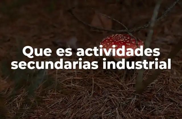 Que es Actividades Secundarias Industrial