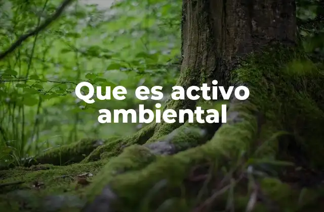 Que es Activo Ambiental