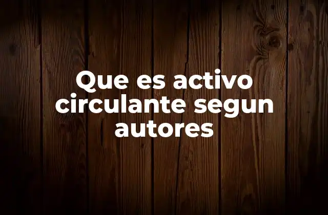 Que es Activo Circulante Segun Autores