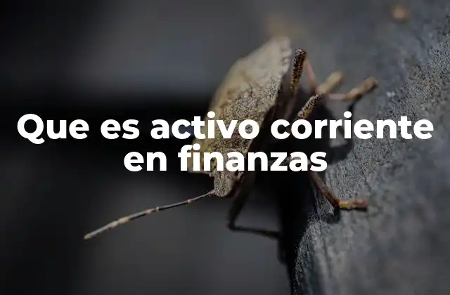 Que es Activo Corriente en Finanzas