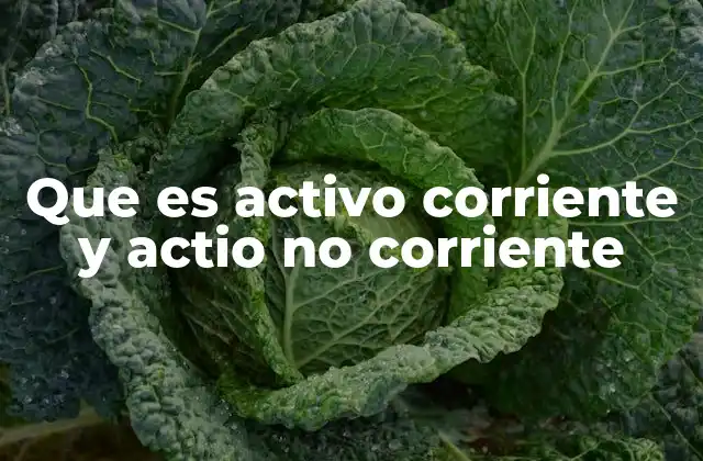 Que es Activo Corriente y Actio No Corriente