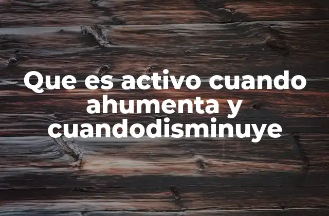 Que es Activo Cuando Ahumenta y Cuandodisminuye