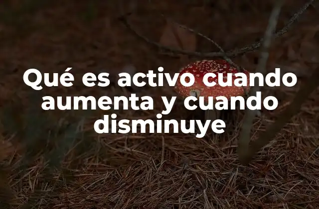 Qué es Activo Cuando Aumenta y Cuando Disminuye