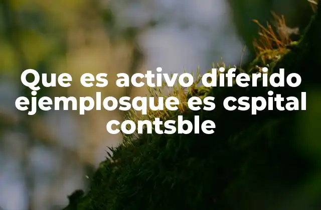 Que es Activo Diferido Ejemplosque es Cspital Contsble 2 Cómo se relacionan los activos diferidos con la estructura financiera de una empresa