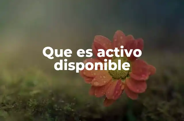 Que es Activo Disponible