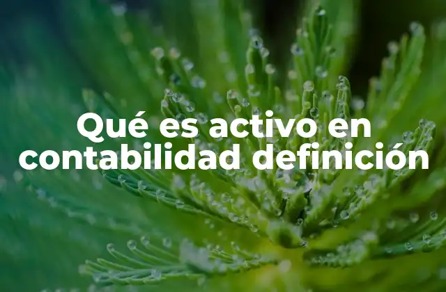 Qué es Activo en Contabilidad Definición