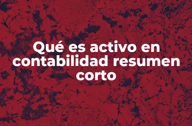 Qué es Activo en Contabilidad Resumen Corto
