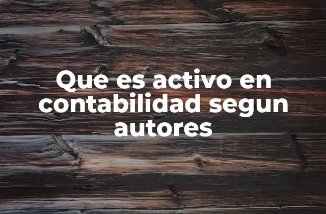 Que es Activo en Contabilidad Segun Autores 2 La importancia de los activos en la estructura contable