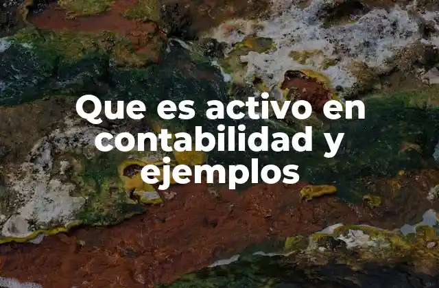 Que es Activo en Contabilidad y Ejemplos