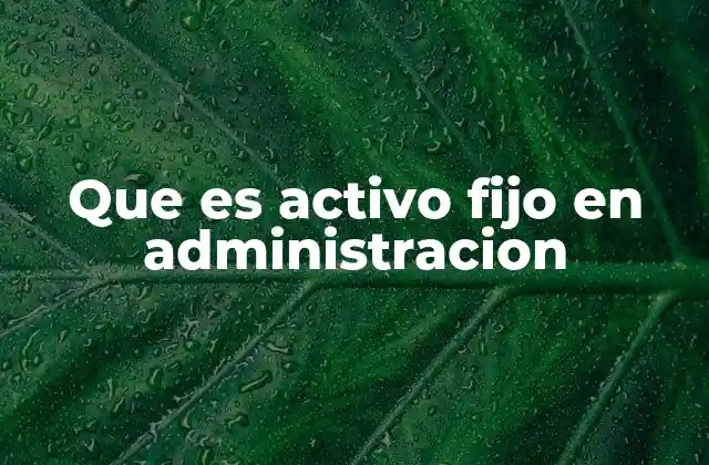 Que es Activo Fijo en Administracion
