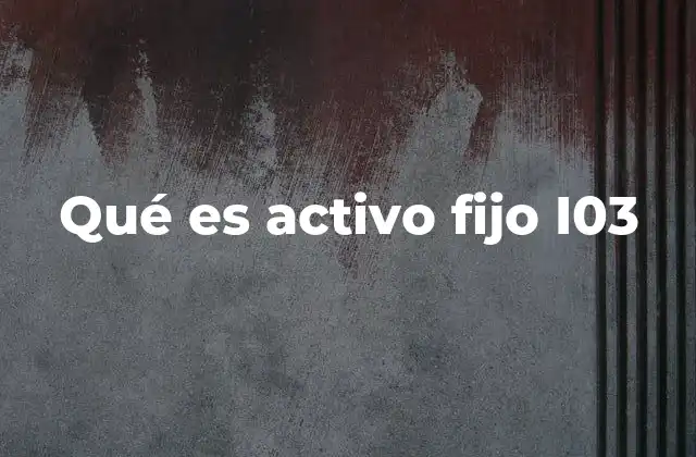 Qué es Activo Fijo I03