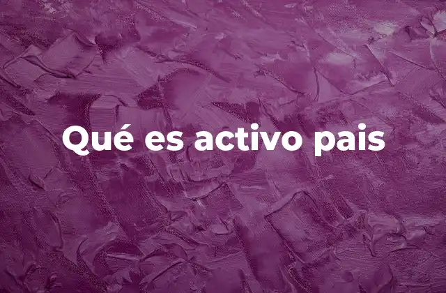 Qué es Activo Pais