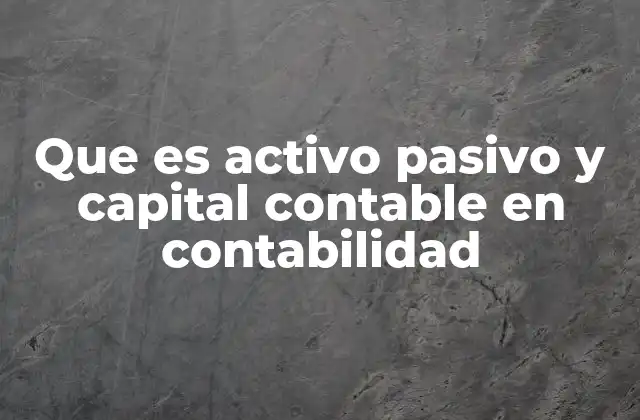 La importancia de los elementos patrimoniales en la contabilidad