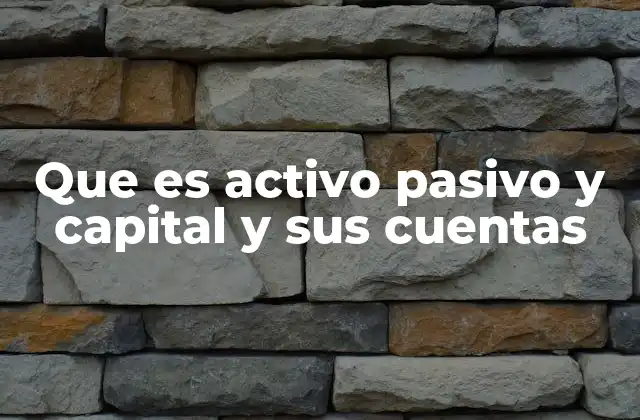 Que es Activo Pasivo y Capital y Sus Cuentas