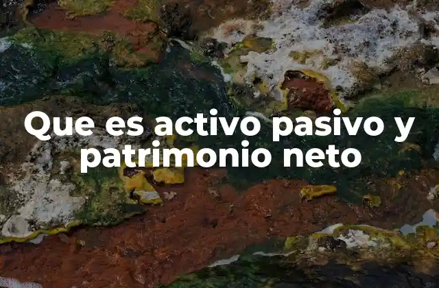 Que es Activo Pasivo y Patrimonio Neto