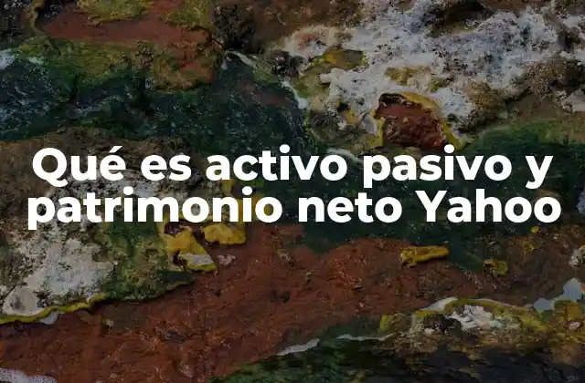 Qué es Activo Pasivo y Patrimonio Neto Yahoo