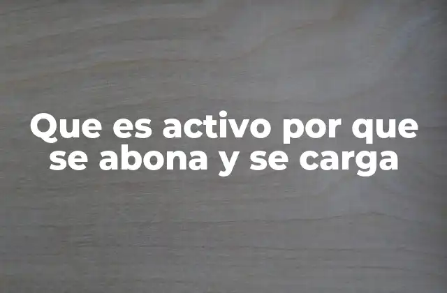 Que es Activo por que Se Abona y Se Carga
