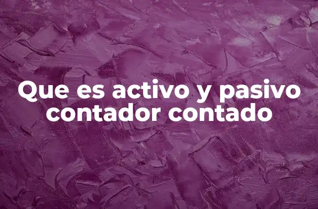Que es Activo y Pasivo Contador Contado