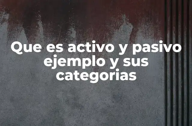 Que es Activo y Pasivo Ejemplo y Sus Categorias
