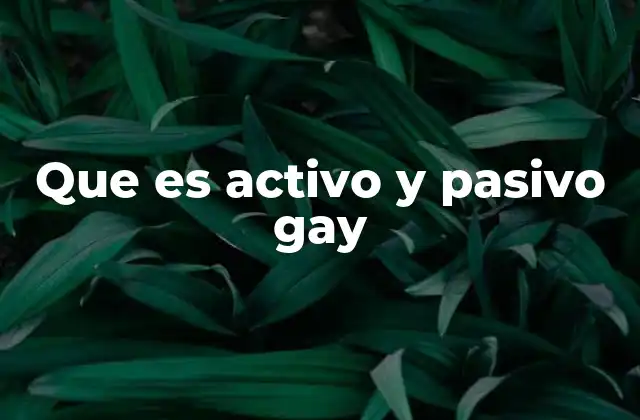 Que es Activo y Pasivo Gay