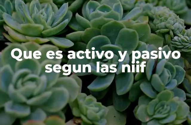 Que es Activo y Pasivo Segun las Niif