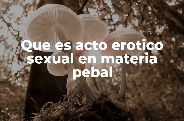 Que es Acto Erotico Sexual en Materia Pebal