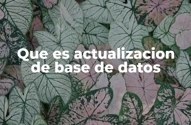 La importancia de mantener las bases de datos actualizadas