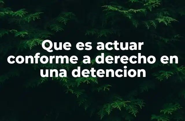 Que es Actuar Conforme a Derecho en una Detencion 2 Los principios legales que rigen una detención legal