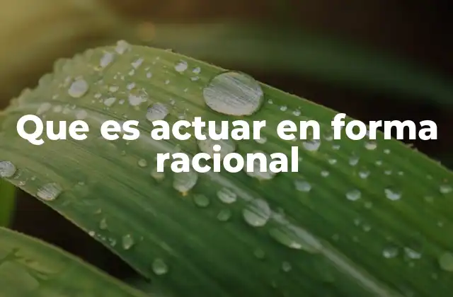 Que es Actuar en Forma Racional