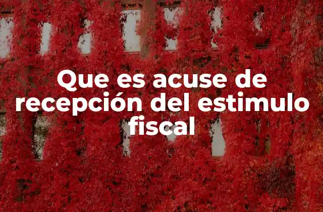 Cómo funciona el proceso de recepción del estímulo fiscal
