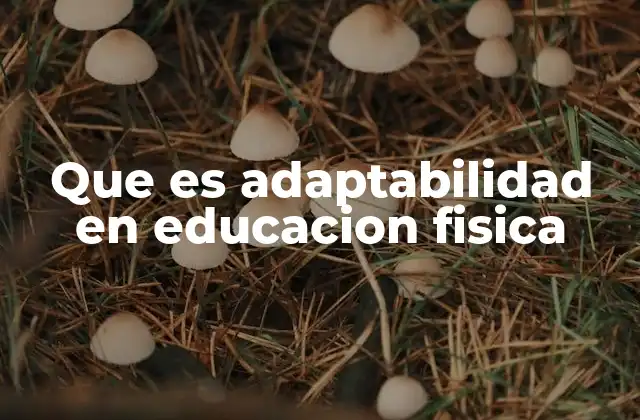 Que es Adaptabilidad en Educacion Fisica