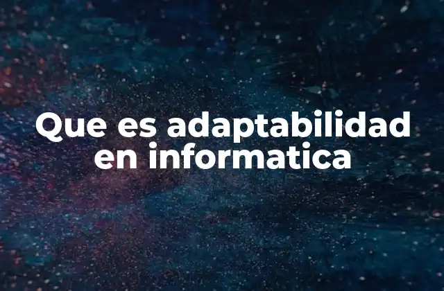 Que es Adaptabilidad en Informatica