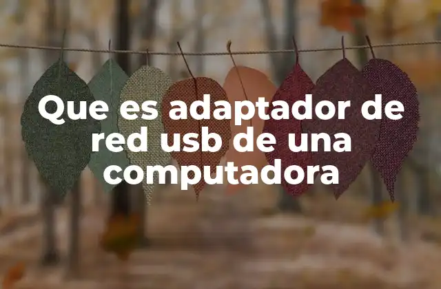 Que es Adaptador de Red Usb de una Computadora