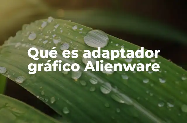 Qué es Adaptador Gráfico Alienware