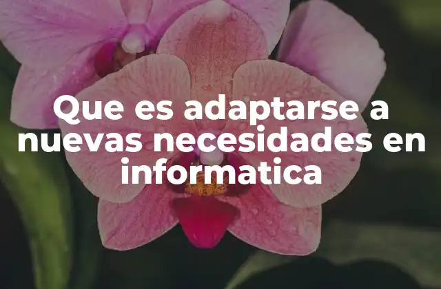 Que es Adaptarse a Nuevas Necesidades en Informatica