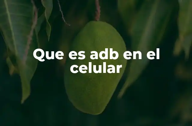 Que es Adb en el Celular
