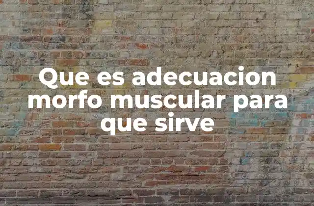 Que es Adecuacion Morfo Muscular para que Sirve