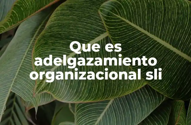 Estructura y dinámica de las organizaciones modernas