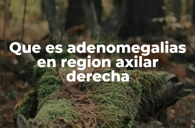 Que es Adenomegalias en Region Axilar Derecha