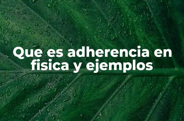 Que es Adherencia en Fisica y Ejemplos