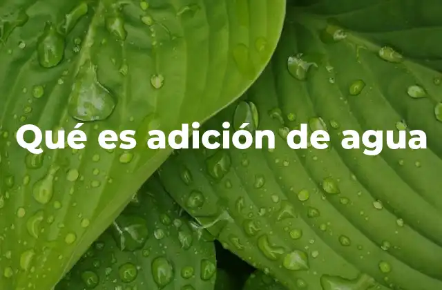 Qué es Adición de Agua
