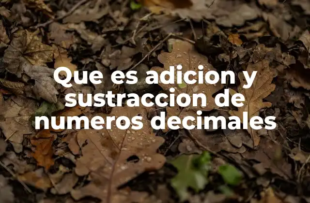 Que es Adicion y Sustraccion de Numeros Decimales