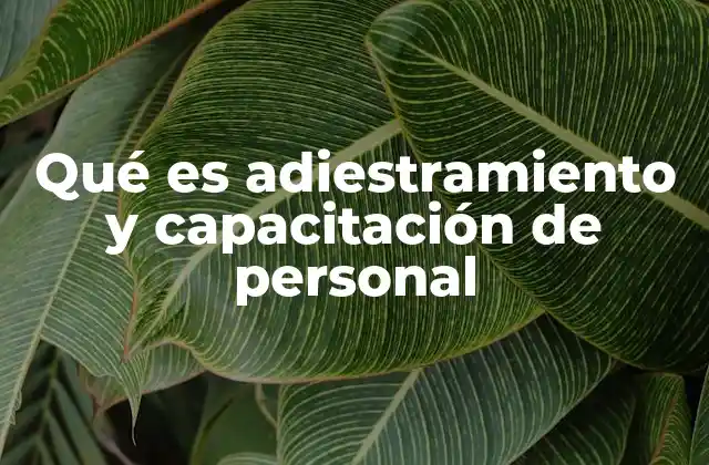Qué es Adiestramiento y Capacitación de Personal