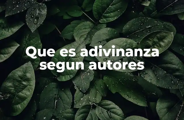 Que es Adivinanza Segun Autores