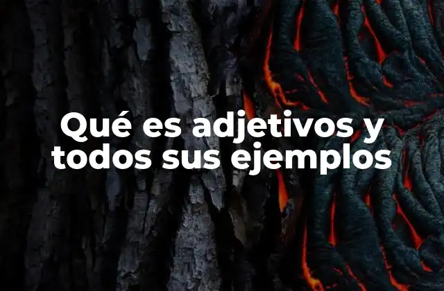 Qué es Adjetivos y Todos Sus Ejemplos 2 El poder descriptivo de las palabras